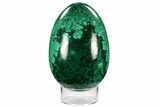 Stunning, Polished Malachite Egg - Congo #129540-1